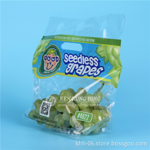 High Quality Custom Plastic Stand up Zipper Fruit Packaging Bags